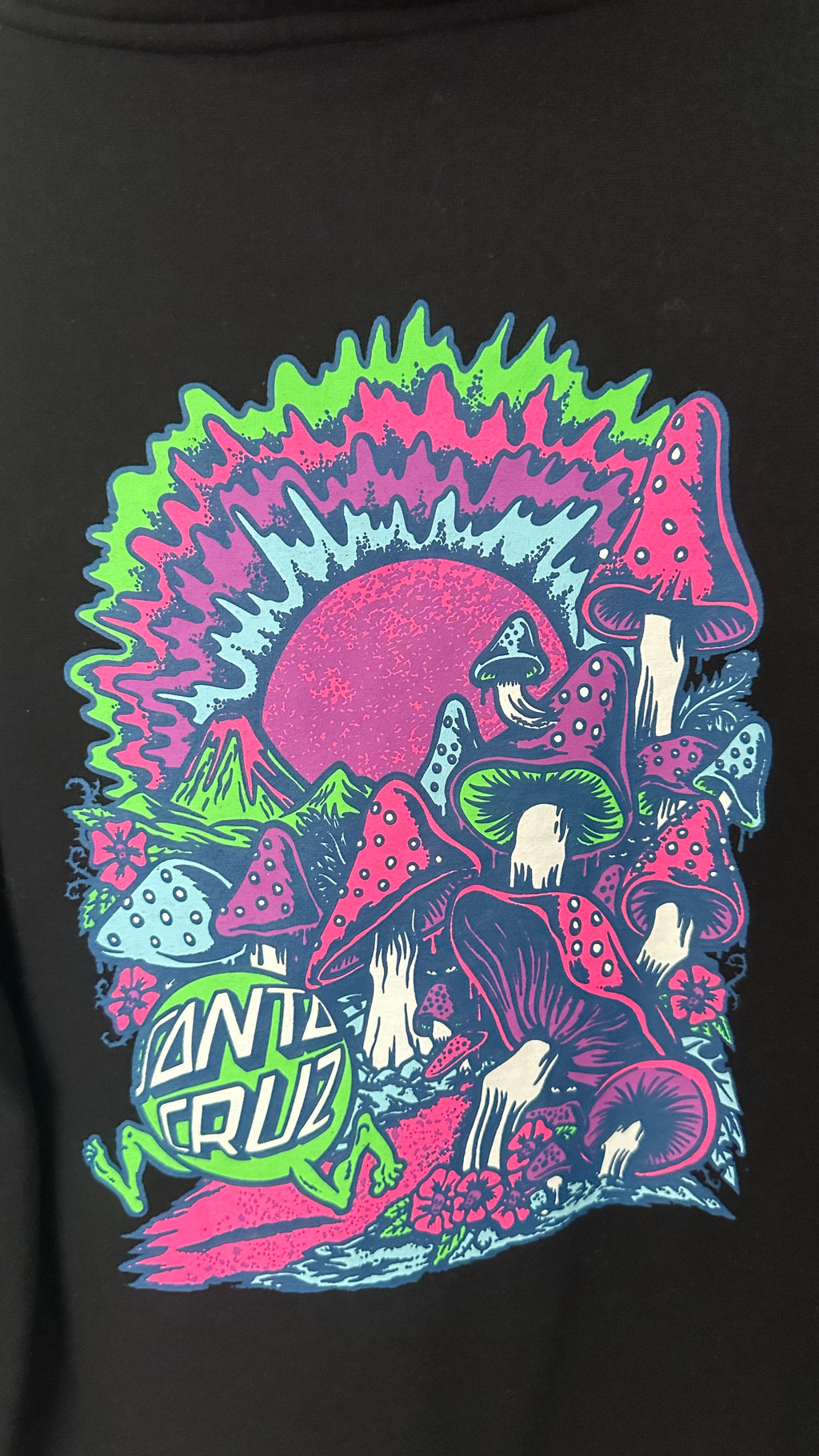 Santa Cruz huppari M