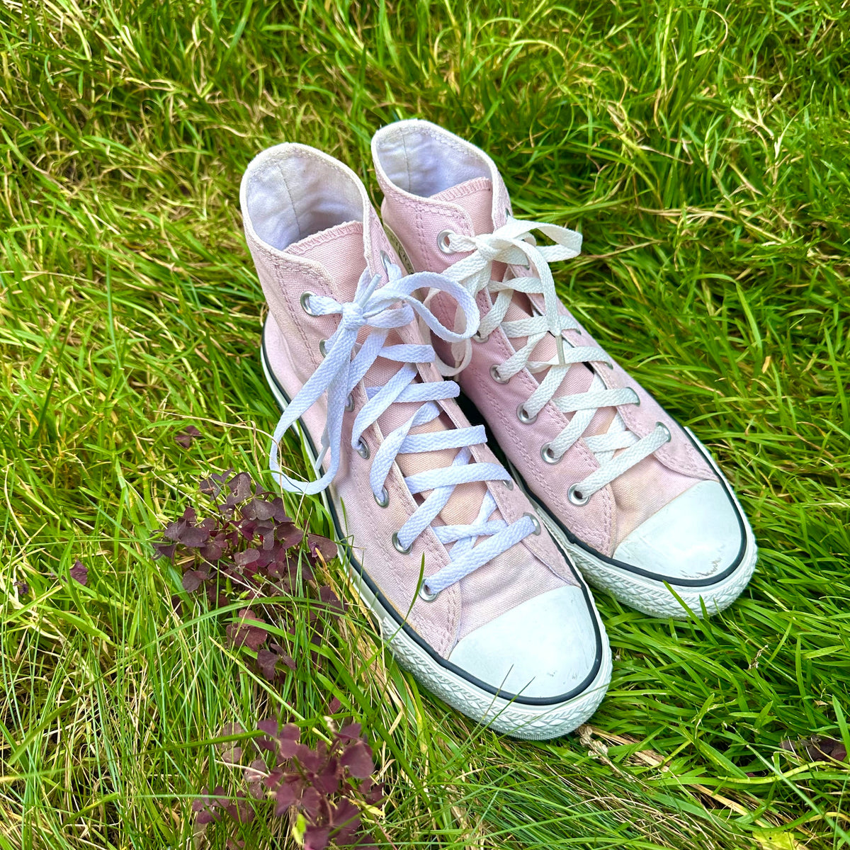 Converse Chuck Taylor 39 Bloomy Moon